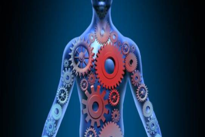 menselijk lichaam - interne geneeskunde - tandwielen - 11570621_m ingekort-2025-07-21-6.jpg